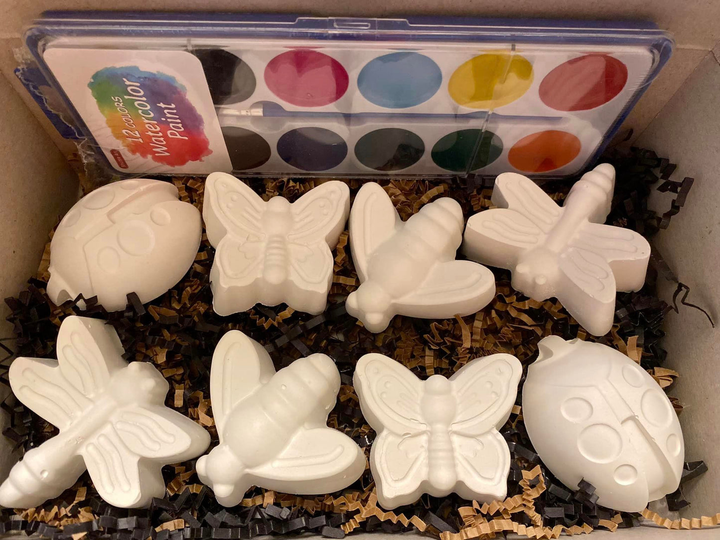 Insects Kit